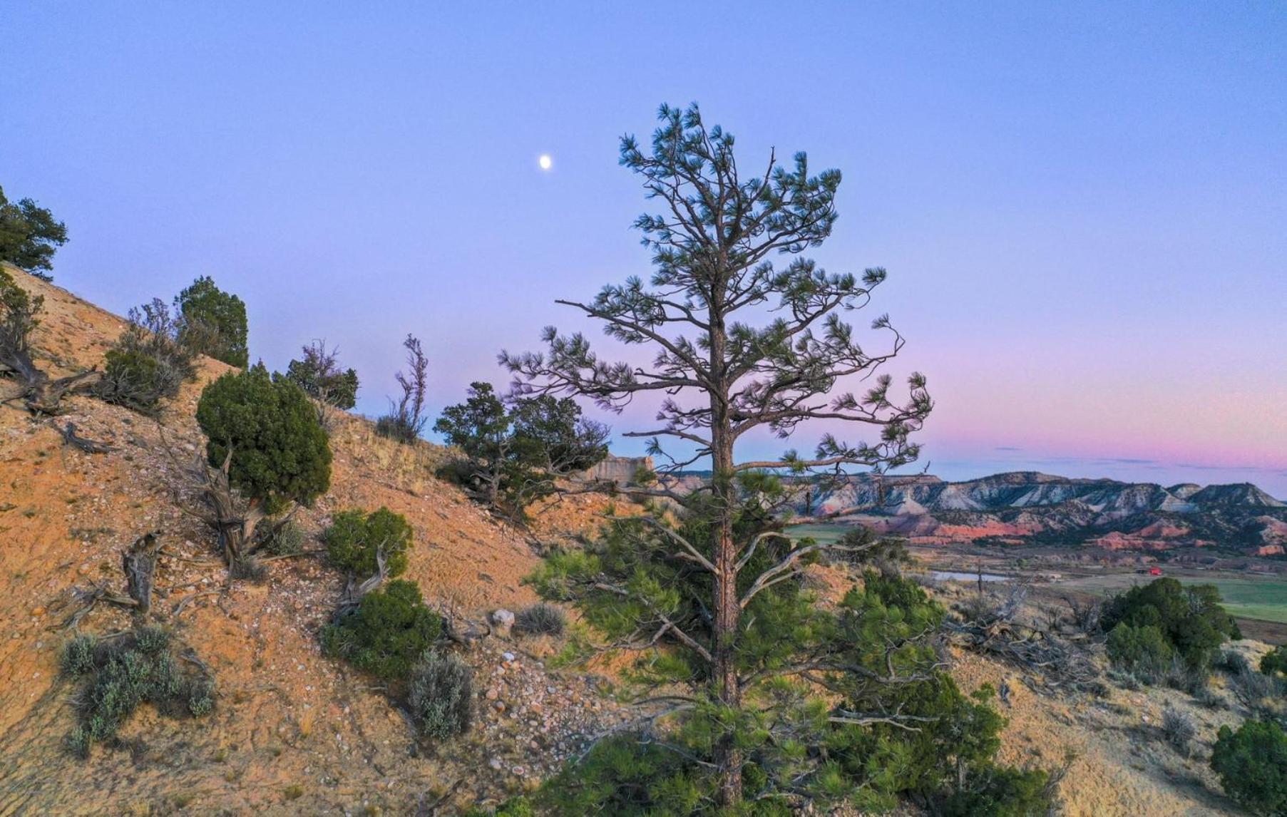 קנונוויל Clear Sky Resorts - Bryce Canyon - Unique Stargazing Domes מראה חיצוני תמונה